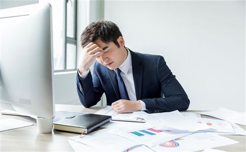 上海人力資源管理師培訓(xùn)全方位指南 機(jī)構(gòu)選擇、費(fèi)用解析與備考策略